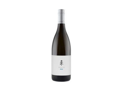 RYZLINK RÝNSKÝ DRINK 2022