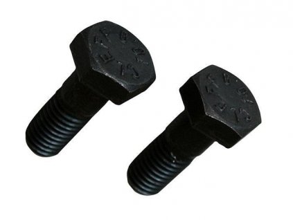 šroub třmenu přední kotoučové brzdy 8/66-7/03 + T3 8/65-7/71