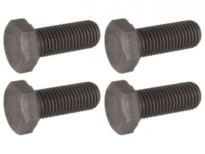 šroub třmenu přední kotoučové brzdy T2 8/70-7/72 horní + spodní