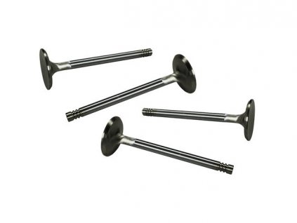 ventil sání 40/8mm nerezový