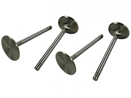 ventil sání 44/8mm nerezový