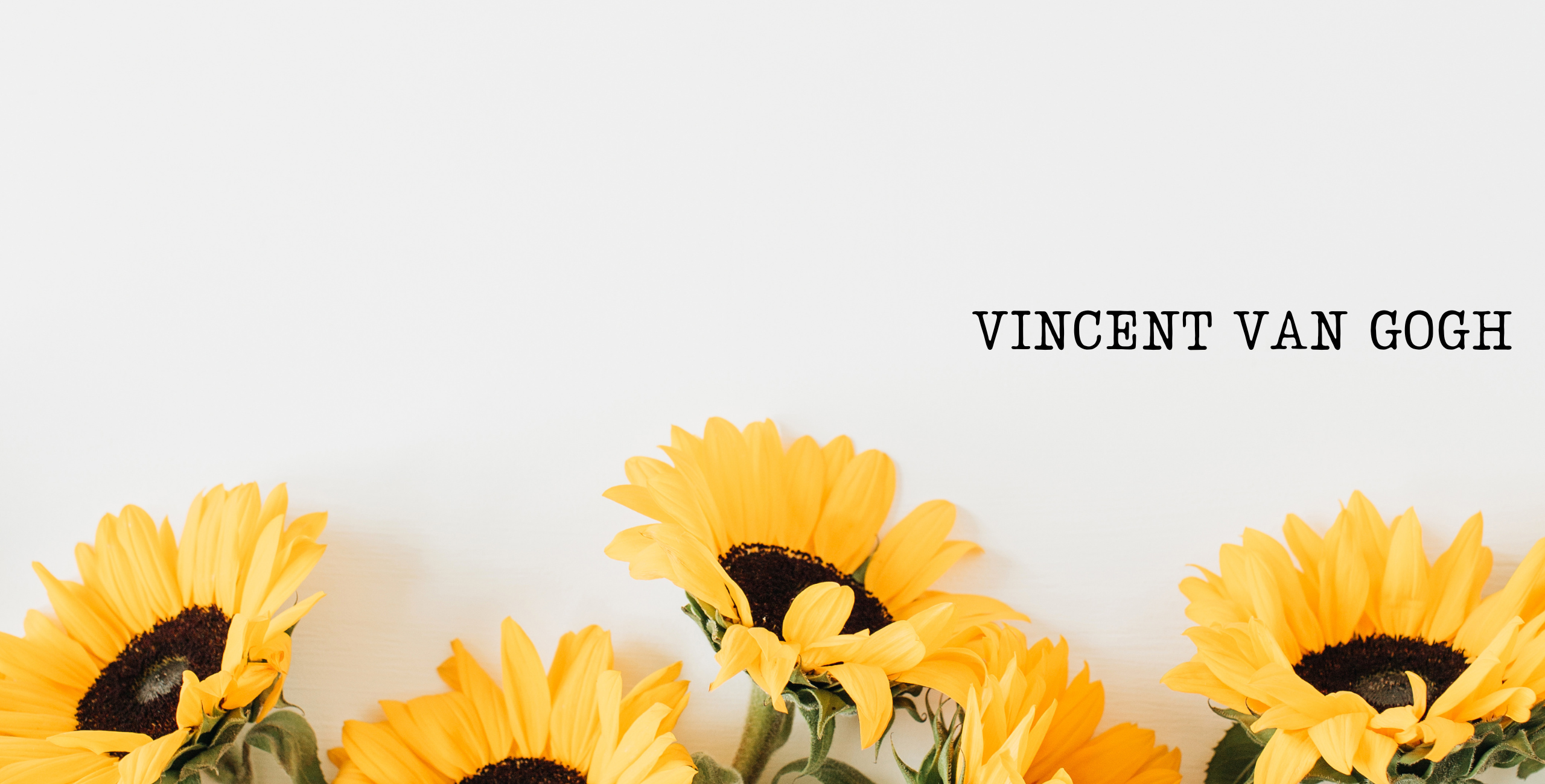 Van Gogh - příběh velkého umělce