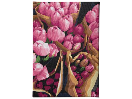 Malování podle čísel - Tulipánový ráj