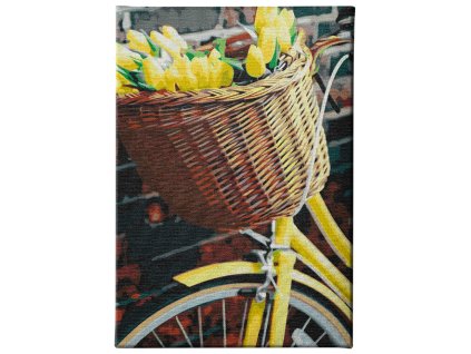 Malování podle čísel - Košík tulipánů