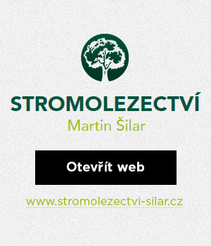 Stromolezectví Martin Šilar