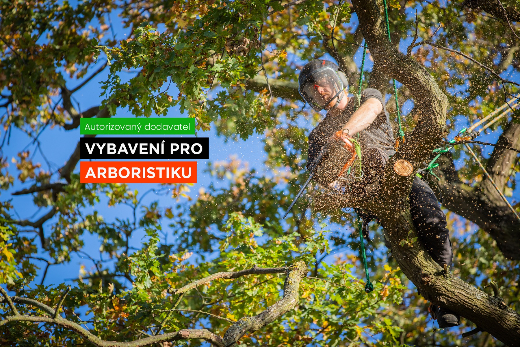 Vybavení pro arboristiku
