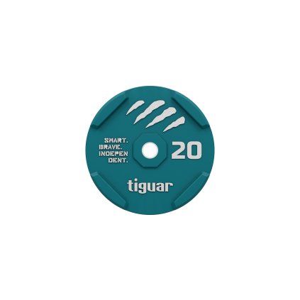 ti wbr02000 0