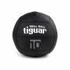 tiguar wall ball 10kg 2400px