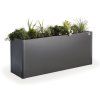 Obrázek (1)