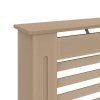Obrázek_(6)