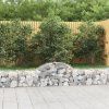 Obrázek_(1)