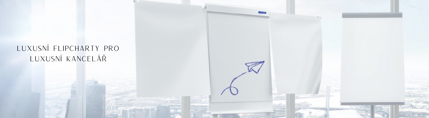 flipchart magnetoplan evolution plus