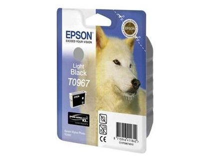 EPSON SP R2880 Light Black (T0967) originální