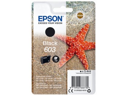 Epson singlepack, Black 603 originální