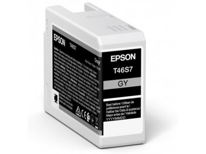 Epson Singlepack Gray T46S7 Ultrachrome originální