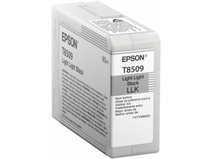 Epson Singlepack Photo Light Light Black T850900 UltraChrome HD ink 80ml originální