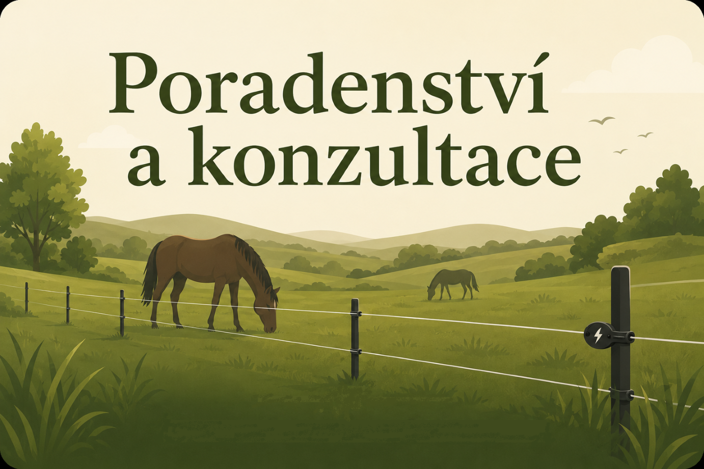 Poradenství