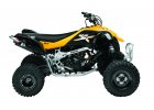 Can-Am DS 450