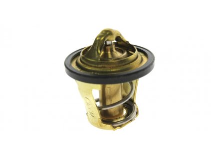 Termostat na Can-Am Outlander/Renegade/Commander 420222494
