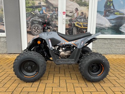 Dětská čtyřkolka Linhai ATV 110 šedé barvy