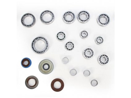 Ložiska a těsnění zadního diferenciálu Polaris RZR 900 XP