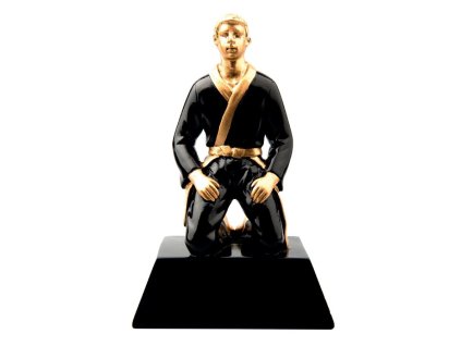 Soška karate RF10