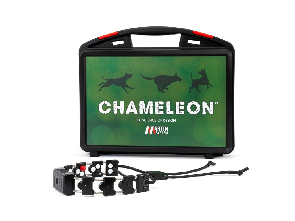 BE 082 MARTIN SYSTEM Chameleon® III B (Large) + charging kit 0