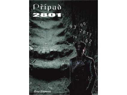 Případ 2801 - Lora Slámová [e-kniha]