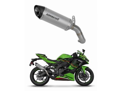 Kawasaki ZX-4R / RR 2023 - 2024 wydech Tłumik tytanowy HP8 + dB killer
