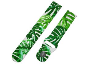 17190 3 monstera 2 reminek 22 mm0003 f20 wht a