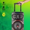 NGS WILD Dub Zero / 120W