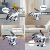 DX DA XIN - RC Dinosaurus pro děti