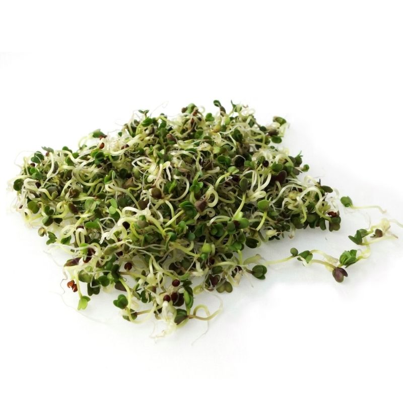 Brokolice Raab microgreens