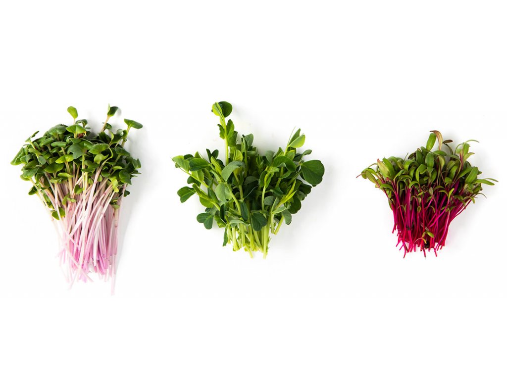Microgreens mix