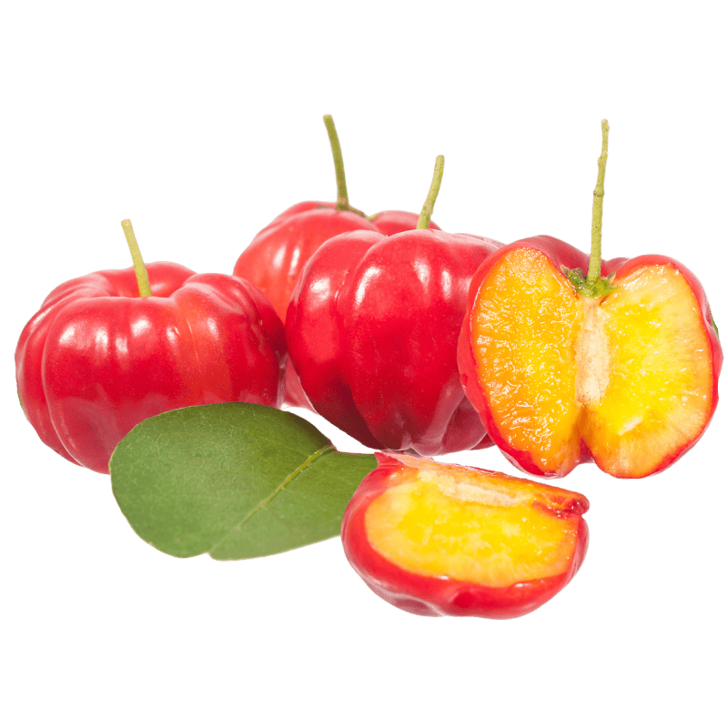 Acerola – ilustrační ovoce