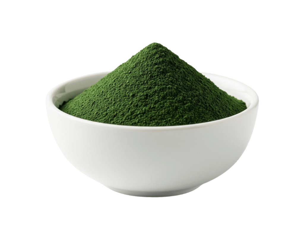 Chlorella BIO Prášek 100g