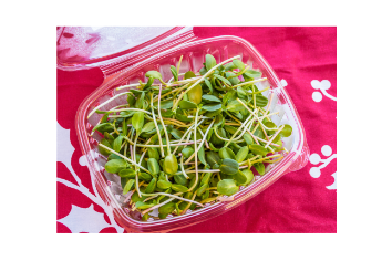 nasekane-microgreens