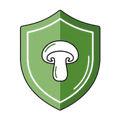 Podpora imunity