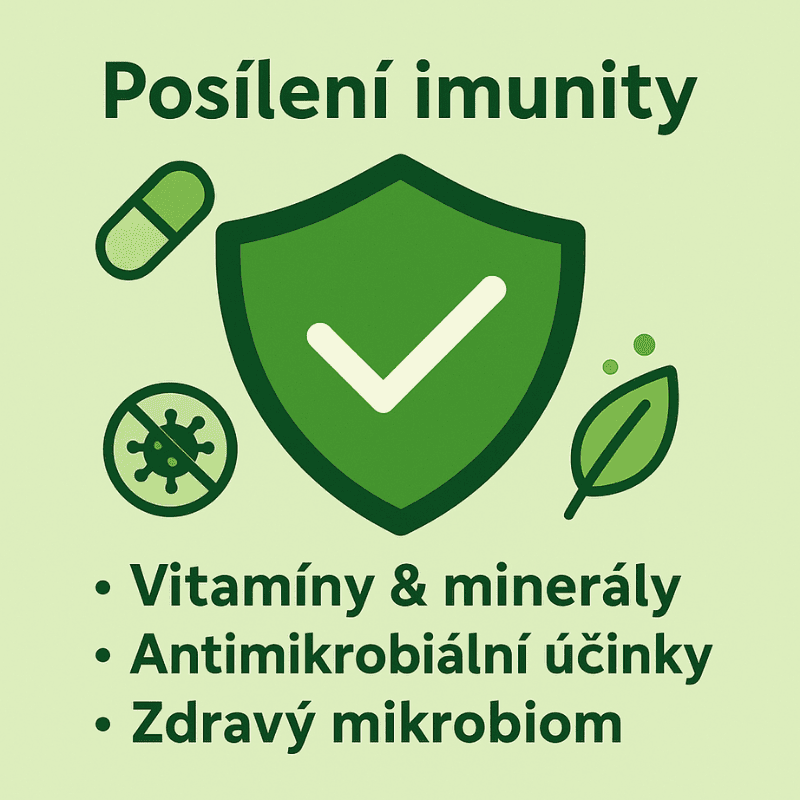 japonska_matcha_imunita