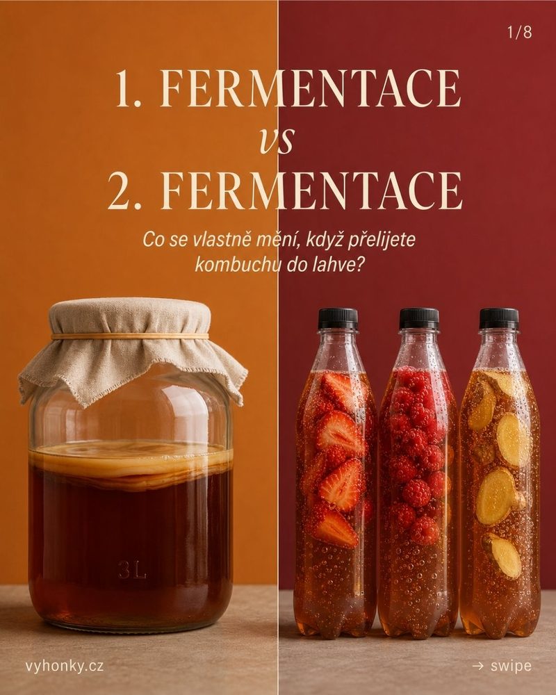 Vyhonky.cz — 1. vs 2. fermentace kombuchy