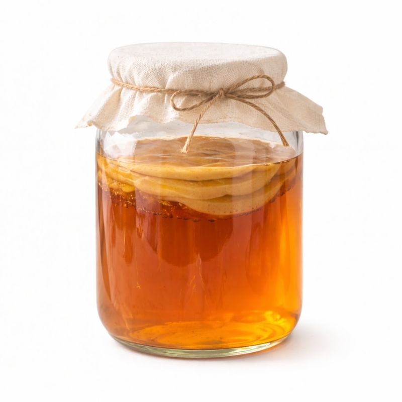 Kombucha SCOBY