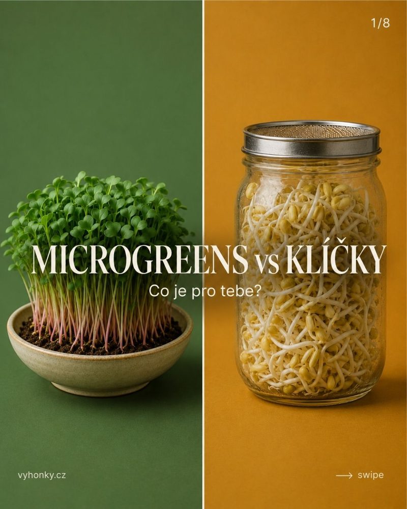 Vyhonky.cz — microgreens vs klíčky