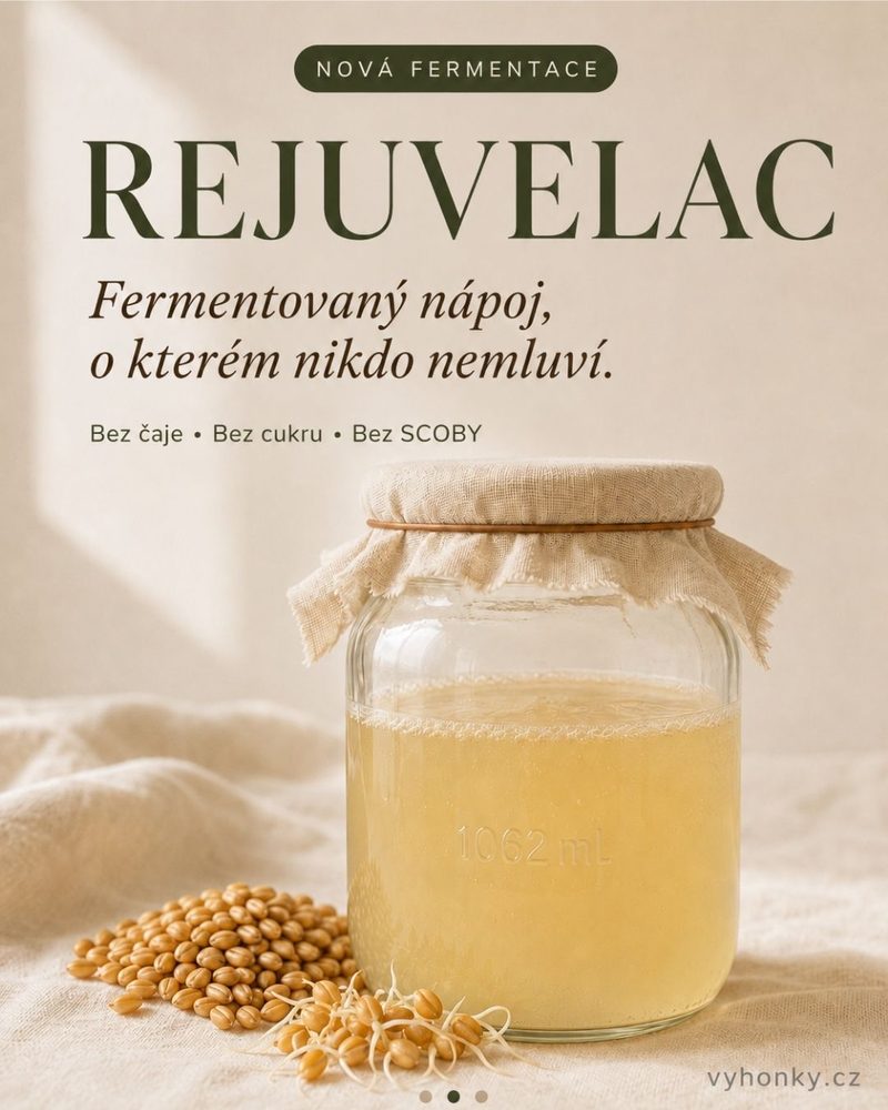 Vyhonky.cz — rejuvelac, fermentovaný nápoj