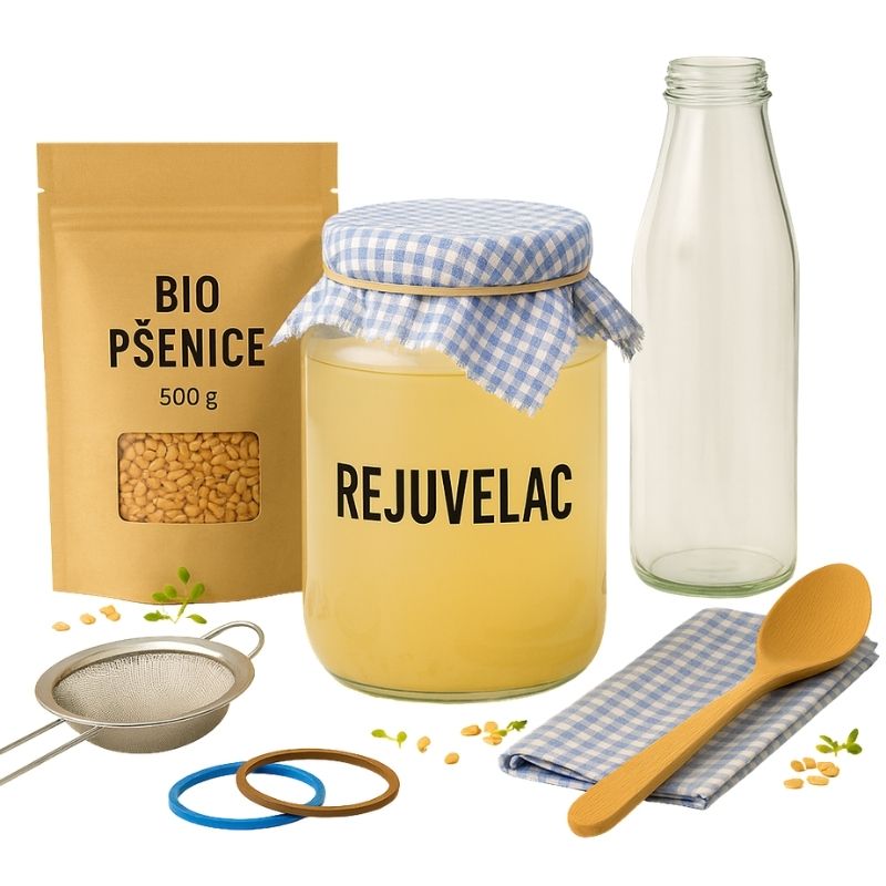 Rejuvelac – startovací sada pro začátečníky