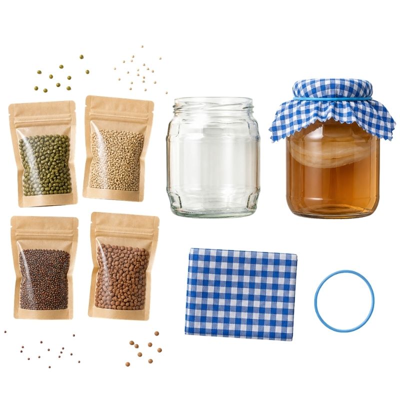 Sada na klíčení BIO – 1 kg semínek + Kombucha SCOBY zdarma