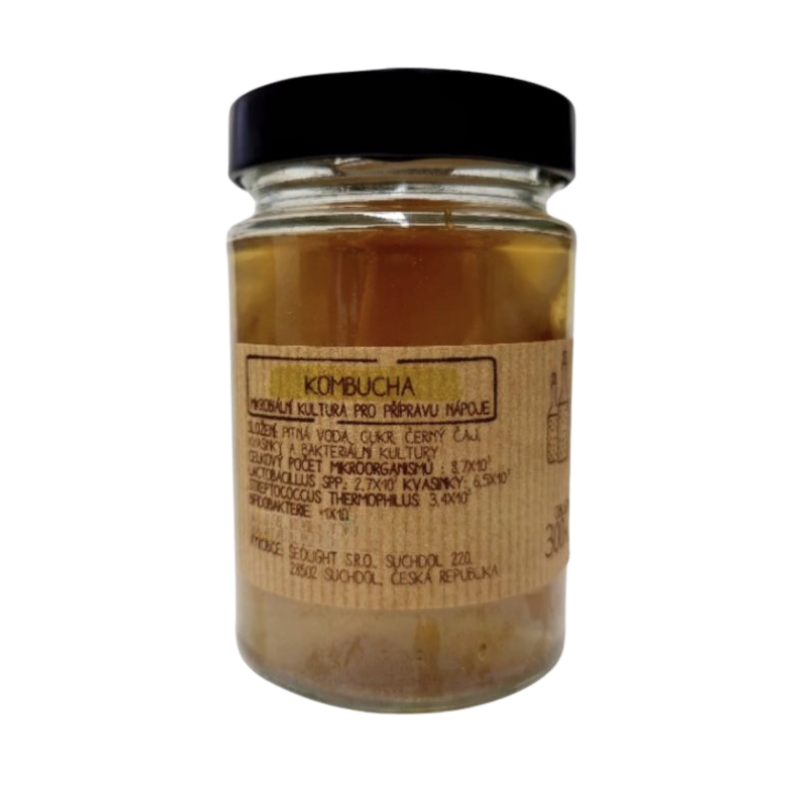 Kombucha SCOBY
