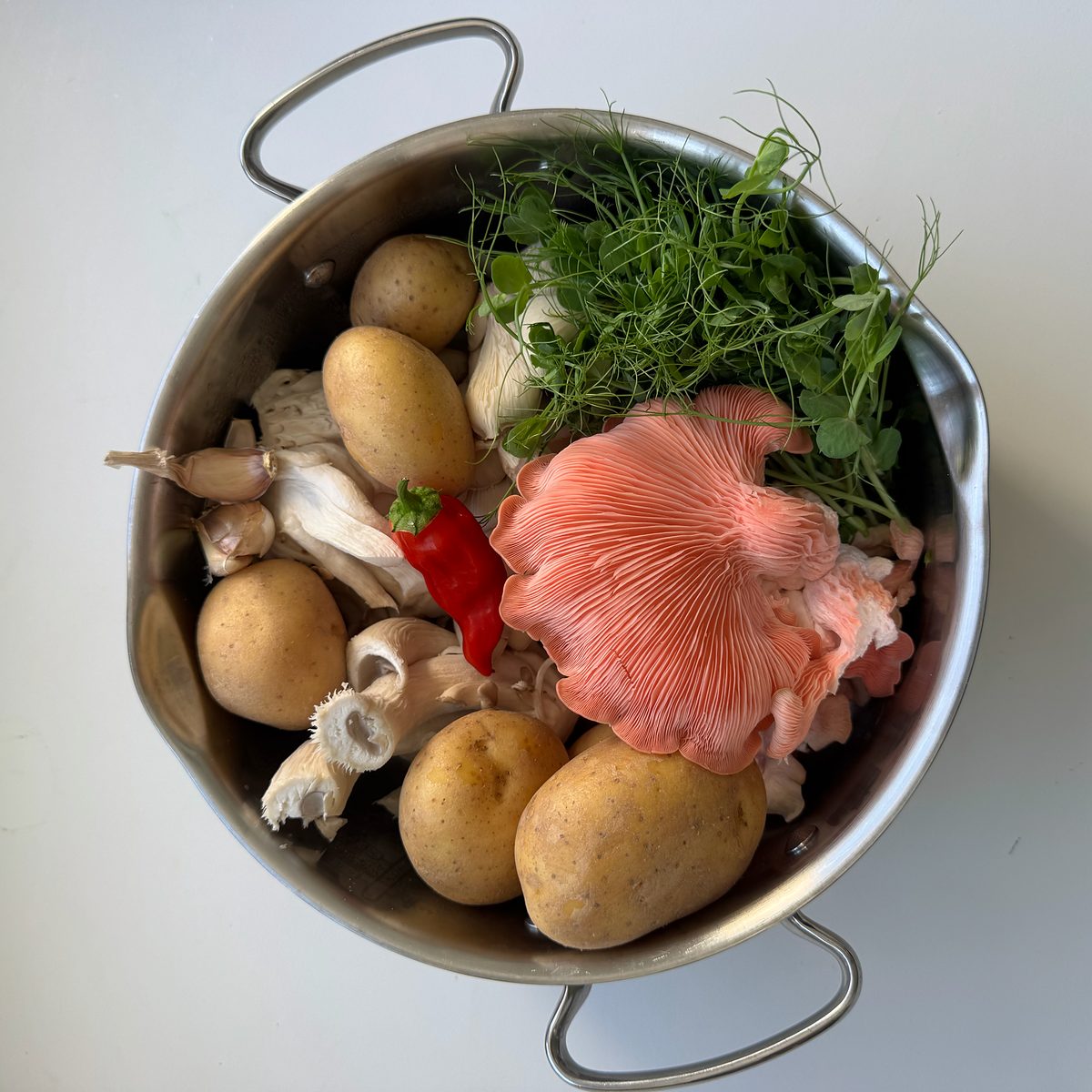 Suroviny na hlívovou polévku v hrnci: hlíva růžová a ústřičná, brambory, česnek, chilli a výhonky hrášku