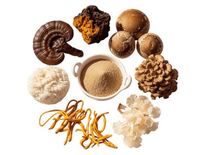 smes 7 hub bio Reishi Chaga Cordyceps