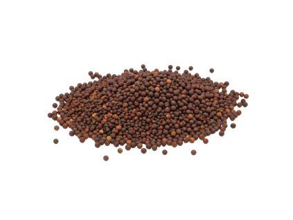Kapusta Kale microgreens – semínka (Cavolo Nero) – Vyhonky.cz