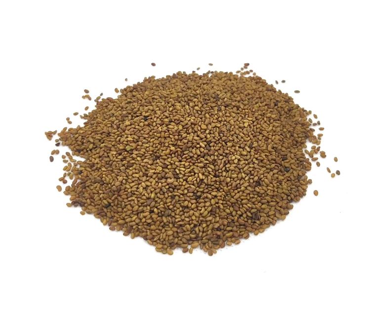 Microgreens Vojtěška Alfalfa